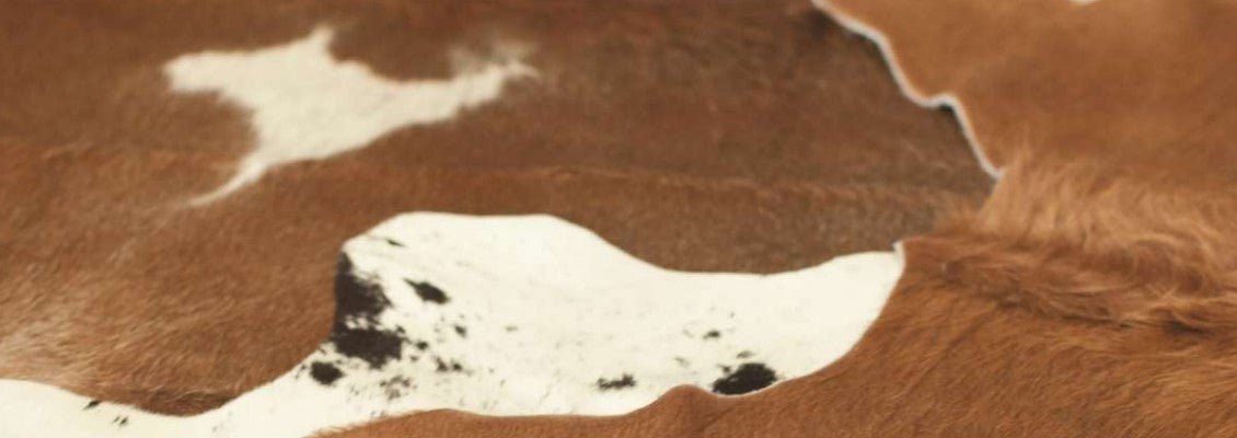 Cowhide Rugs - Floorsome