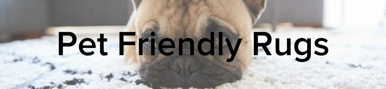 Pet Friendly Rugs - Floorsome