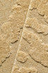 Haven Nyla Gold Runner Rug