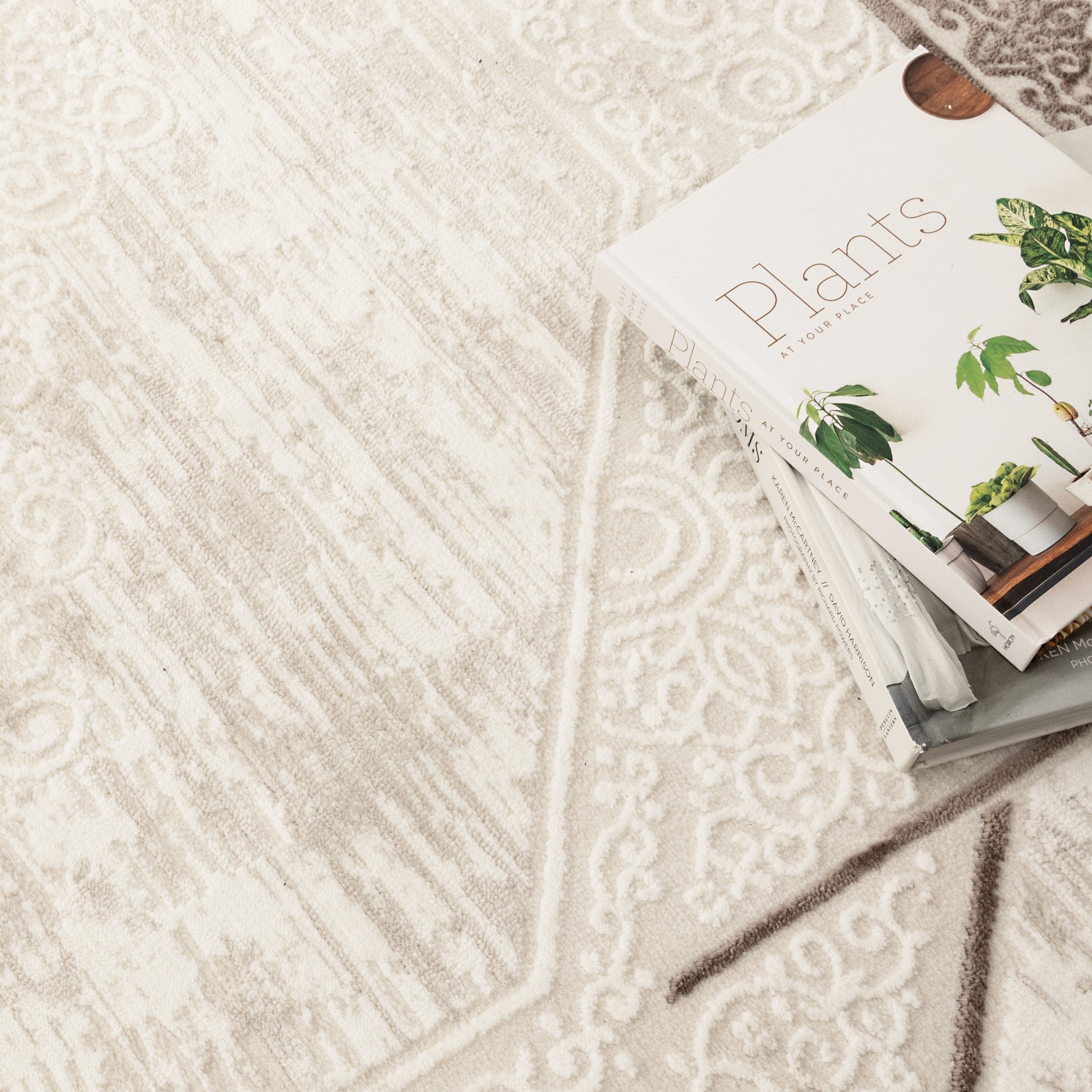 Amalfi Oriental Border Medallion Cream Brown Rug - AMAL08 - Floorsome - Area Rug - AMAL50808 - Area Rug
