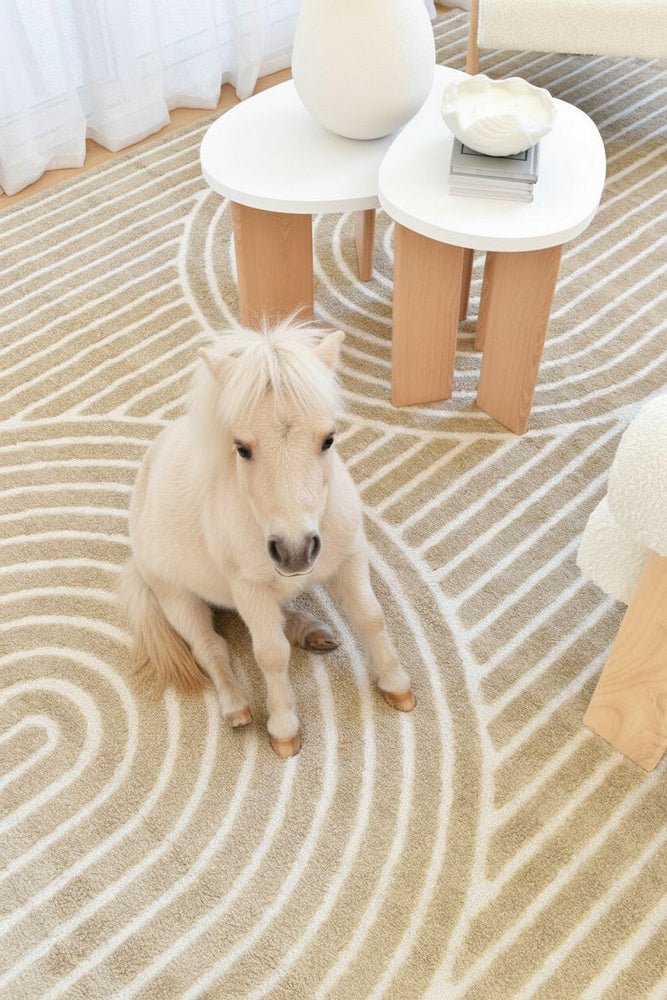 Coco 02 Cocoa - Floorsome - MODERN - COCO-02-COCOA-80X150 - MODERN