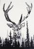 Deer Black White Rug - Floorsome - Modern - ICON1601581361 - Modern