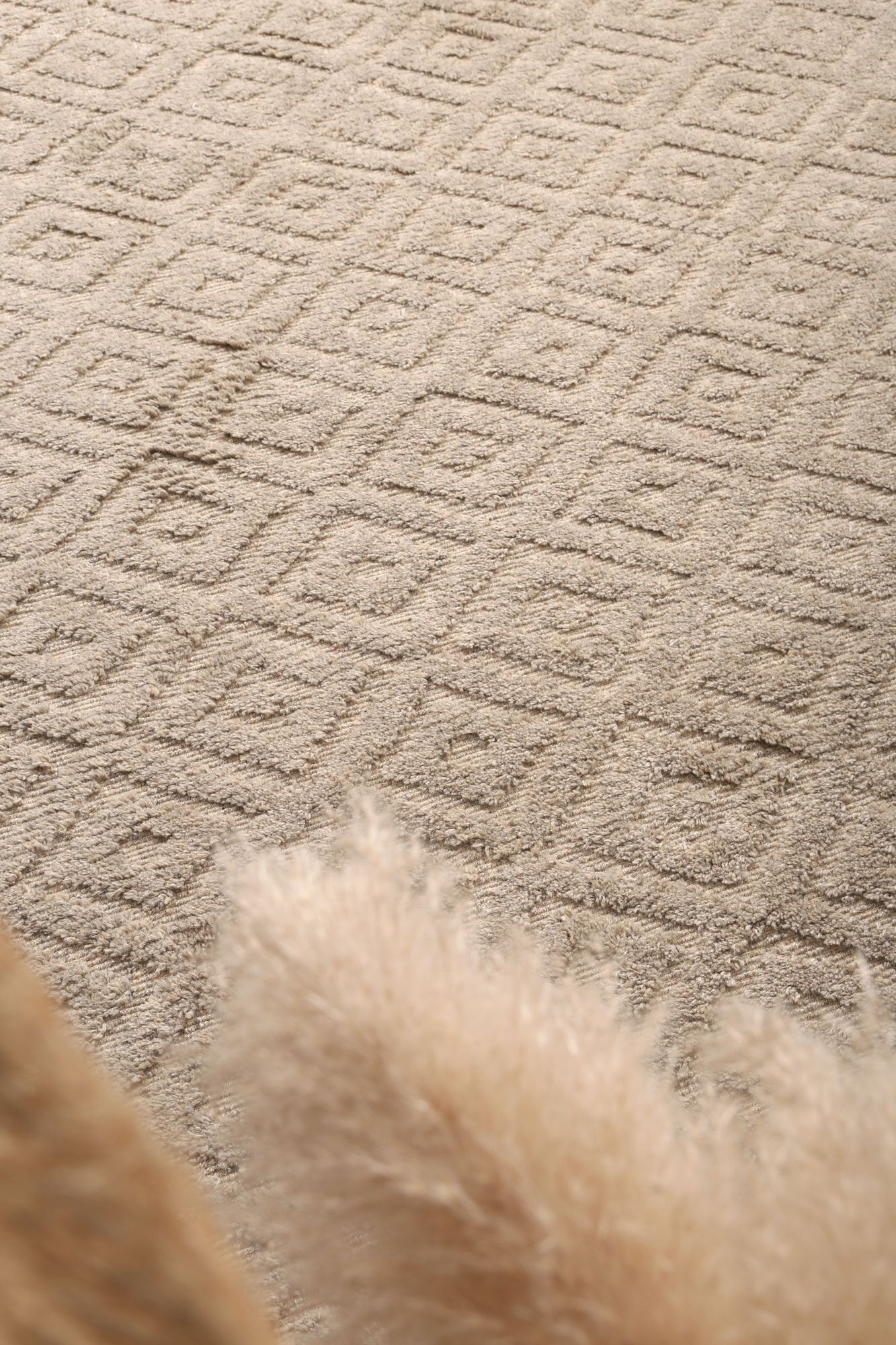 Leilani Plush Diamond Ash Rug - Floorsome - Rug - GOA803D4ASH - Rug