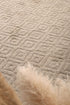 Leilani Plush Diamond Ash Rug - Floorsome - Rug - GOA803D4ASH - Rug