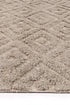 Leilani Plush Diamond Ash Rug - Floorsome - Rug - GOA803D4ASH - Rug