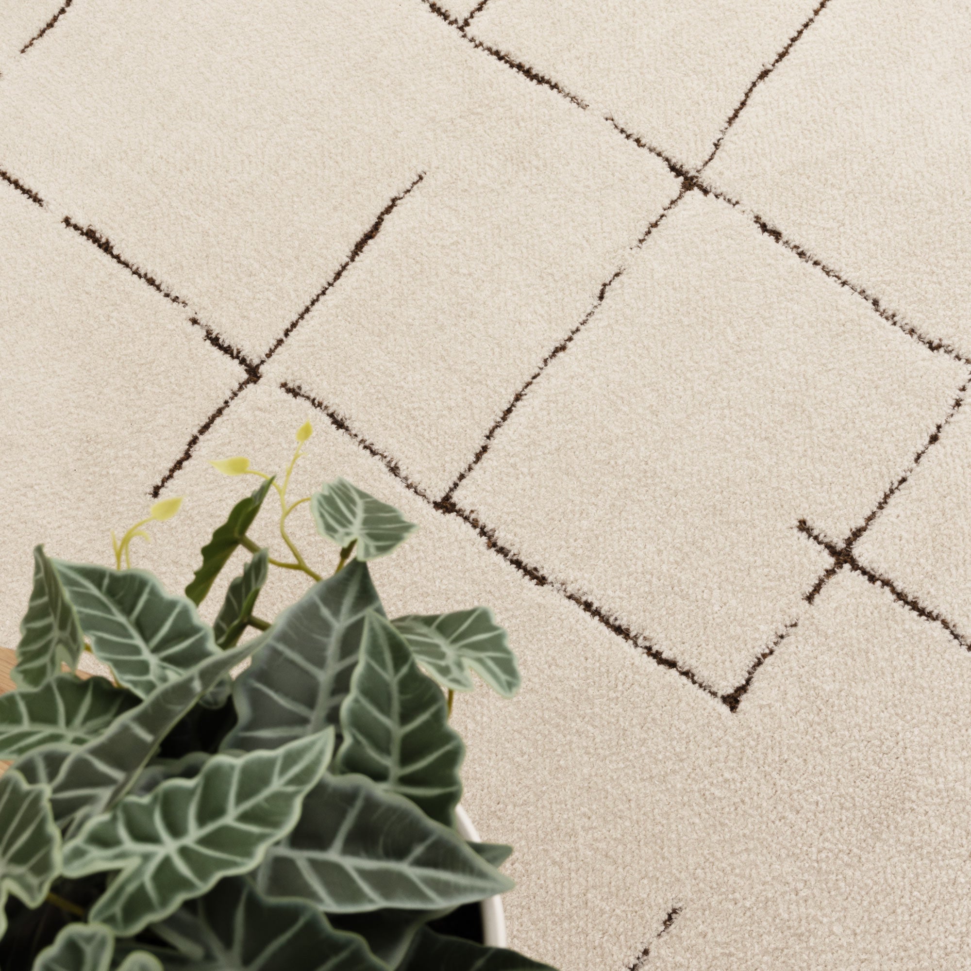 Mila Abstract Lines Brown Cream Rug - Floorsome - Area Rug - MILA160MIL10 - Area Rug