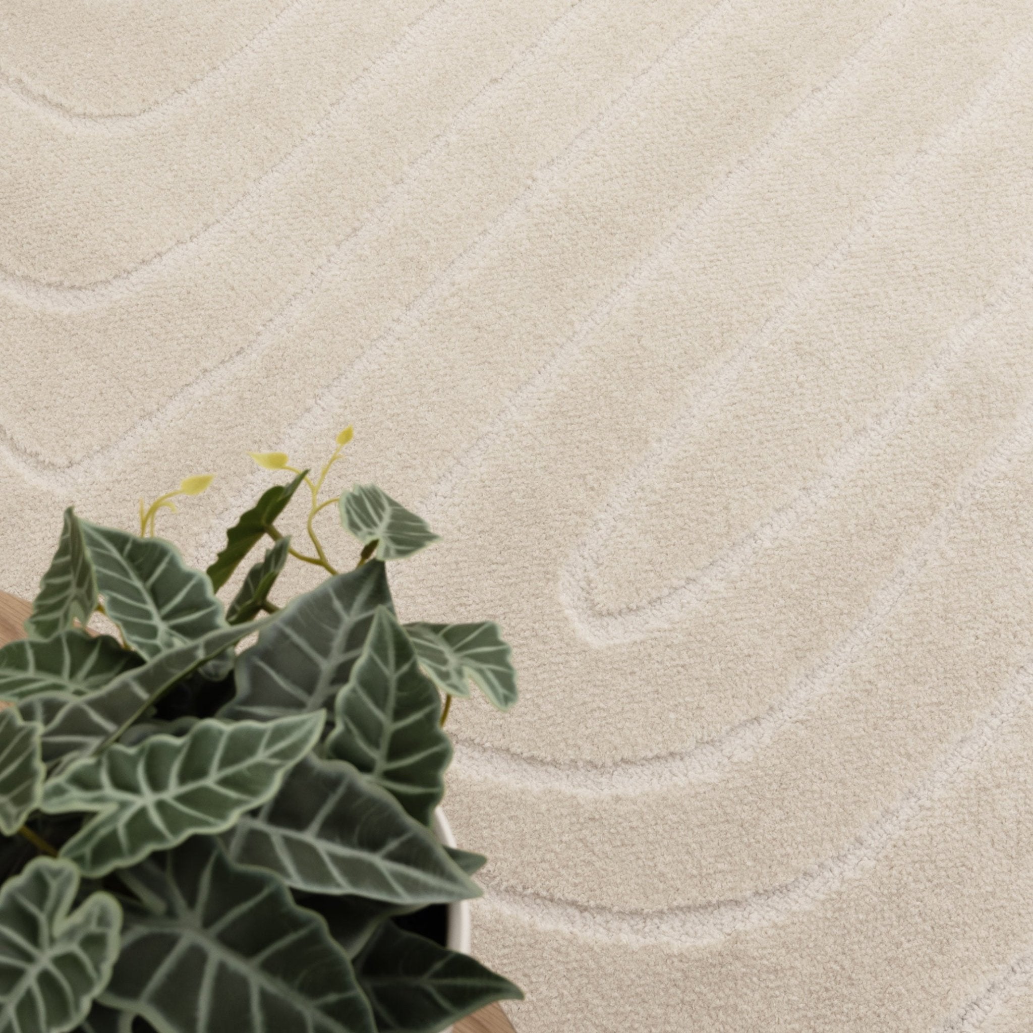 Mila Arch Lines Cream Rug - Floorsome - Area Rug - MILA160MIL7 - Area Rug