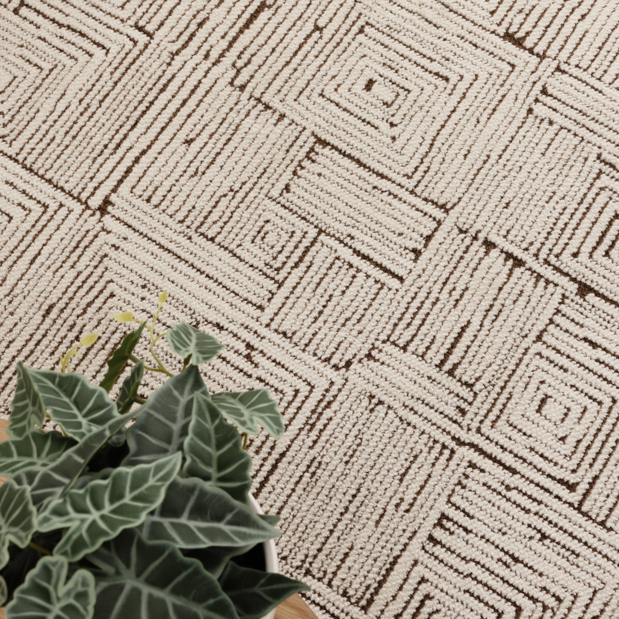 Mila Geometric Squares Cream Brown Rug - Floorsome - Area Rug - MILA160MIL8 - Area Rug