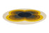 Orla Kiely Sunflower Yellow 060006 Rug - Floorsome - Brink & Campman - 2020 Collection - BC - OK - 060006 - 150x150 - Brink & Campman - 2020 Collection