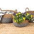 Set of 3 Dohar Handmade Grey Seagrass and Jute Round Storage Basket with Handles - Floorsome - BASKTDOHAR00000 - 