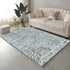 Shay Grey Traditional Distressed Machine Washable Rug - Floorsome - Modern - MWRSHYGRY060180 - Modern