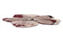 Ted Baker Shaped Magnolia Burgundy Round 162303 - Floorsome - BRINK & CAMPMAN - 2023 COLLECTION - BC - TED - 162303 - 150X150 - BRINK & CAMPMAN - 2023 COLLECTION