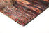 Tiger Multi Coloured Rug - Floorsome - Modern - ICON16015808110 - Modern