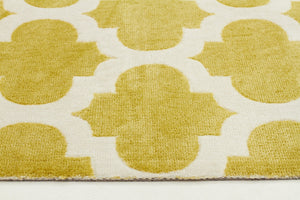 Trellis Stylish Design Rug Green - Floorsome - Modern
