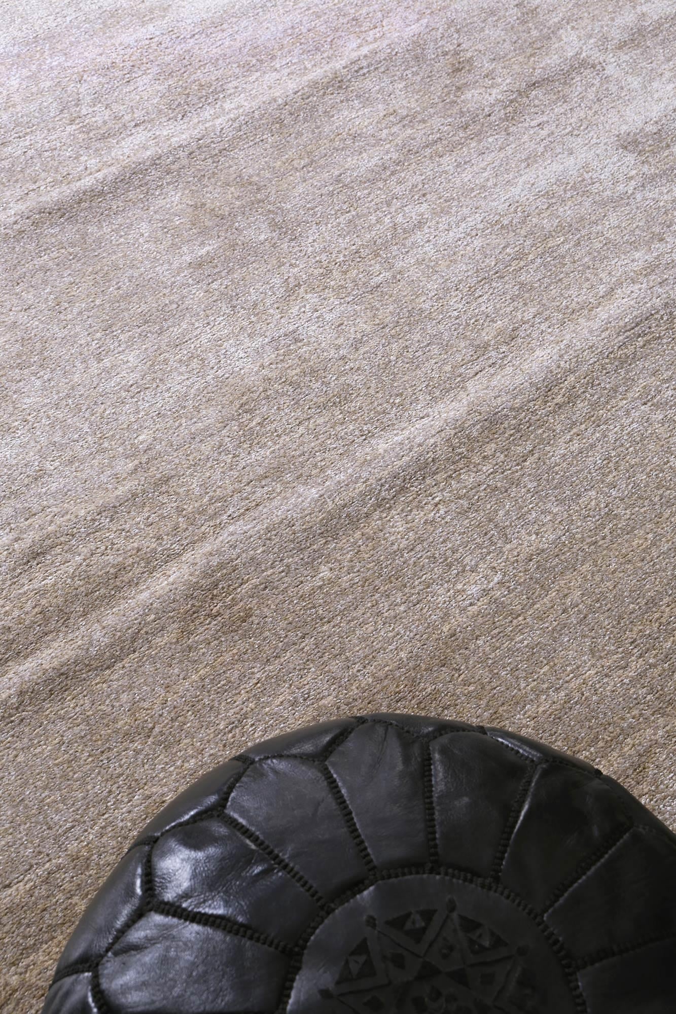 Zarin Solid Beige Modern Rug - Floorsome - PISA120BEIG - 