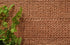Zayna Grace Copper Wool Blend Rug - Floorsome - Rug - HARL160GRACCOPP - Rug