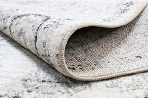 Arya Cream Ziegler Traditional Ikat Rug - Floorsome