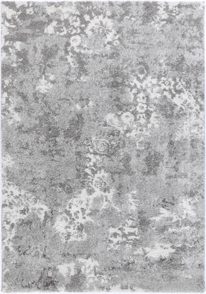 Yuzil Grey Transitional Floral Rug